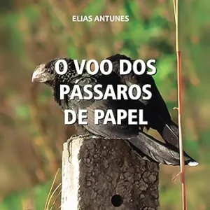 O-voo-dos-passaros-de-papel