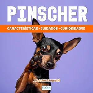 Pinscher-Caracteristicas-cuidados-curiosidades