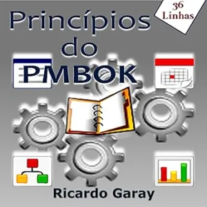 Principios-do-PMBOK